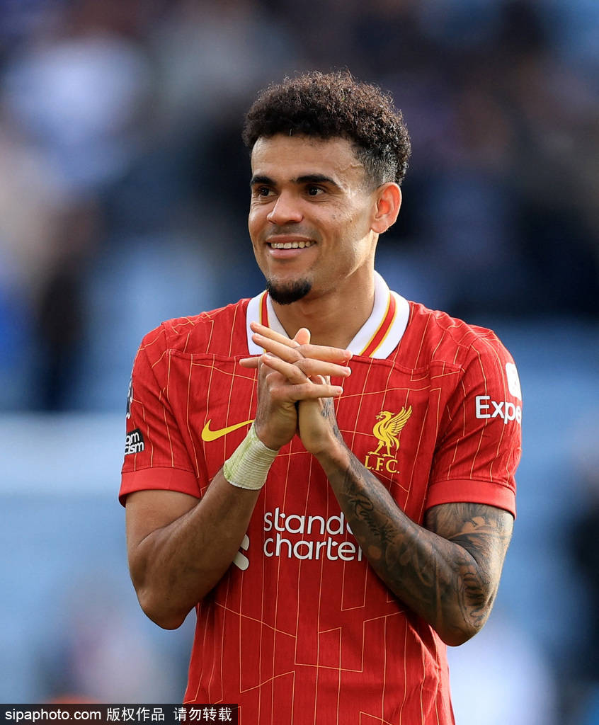 仅代表了中 仅代表了中